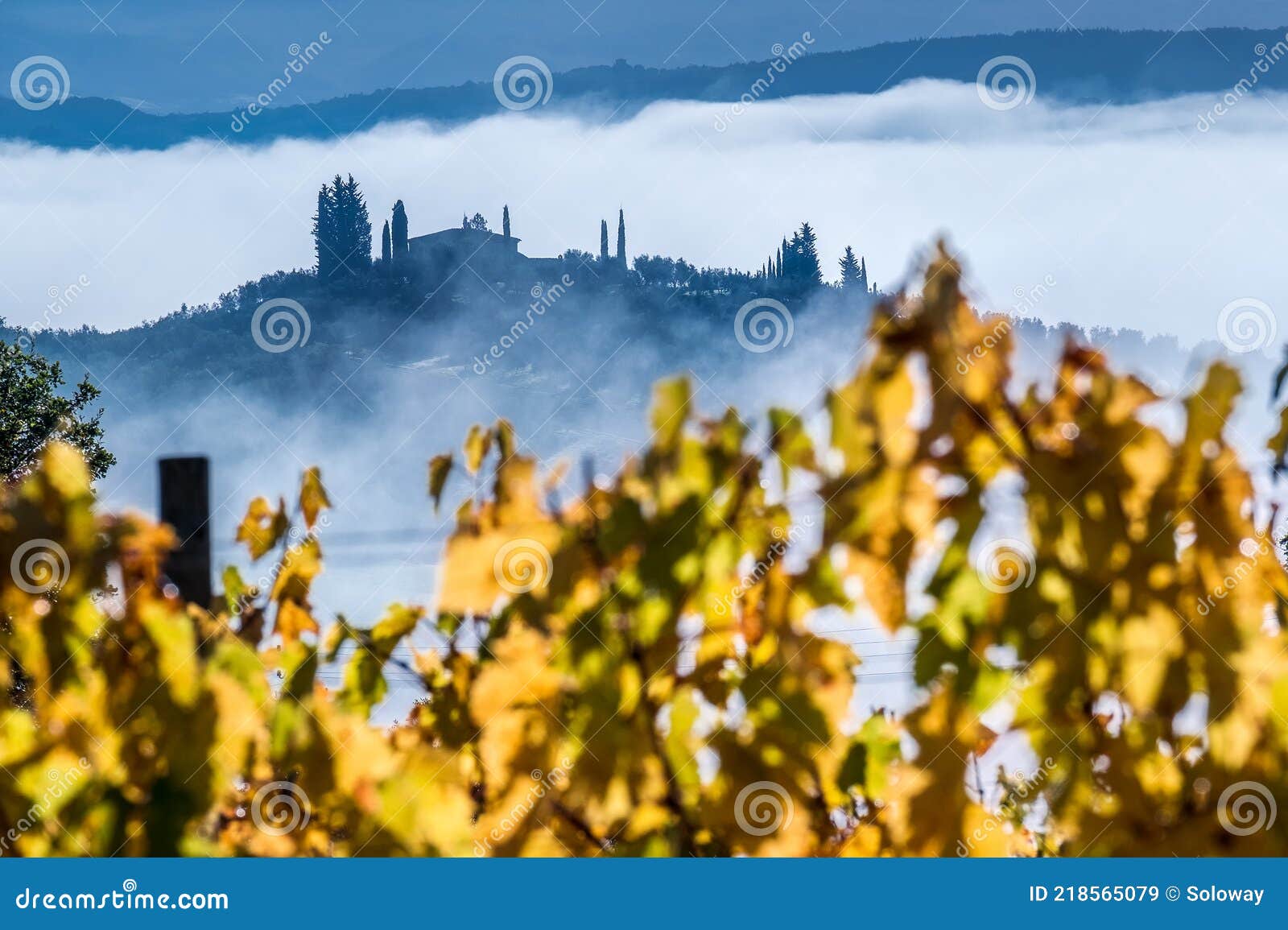 unbelievable early first sunrise rays foggy landscape view agriturismo farmland covered with morning mist. yellow autumn vineyard