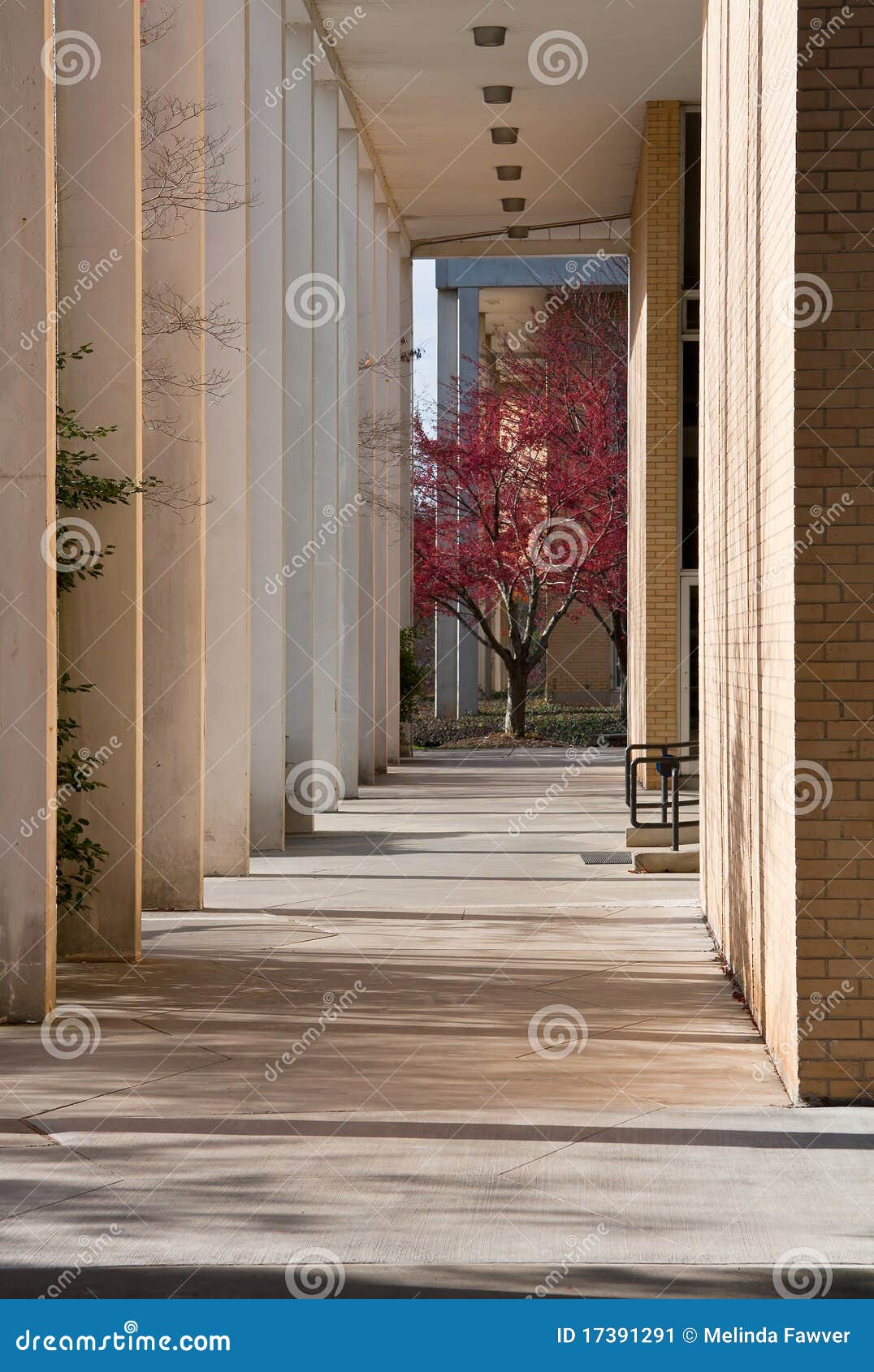 UNCA Campus stock image. Image of clock, learning, college - 17391291