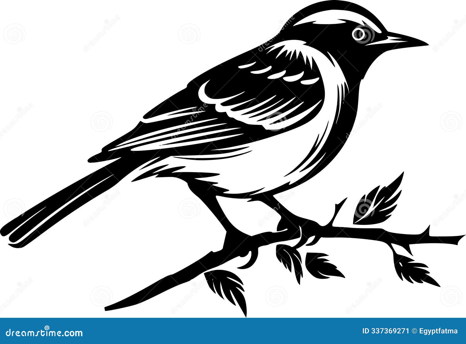 bird - black and white  