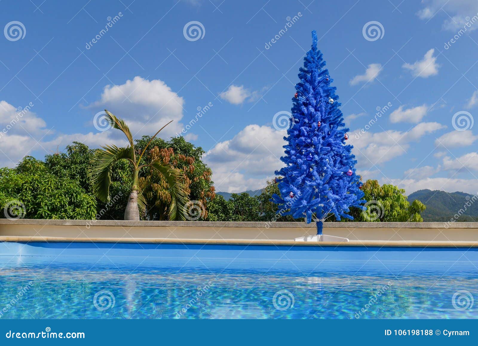 unconventional blue christmas tree in green tropical garden with swimming pool