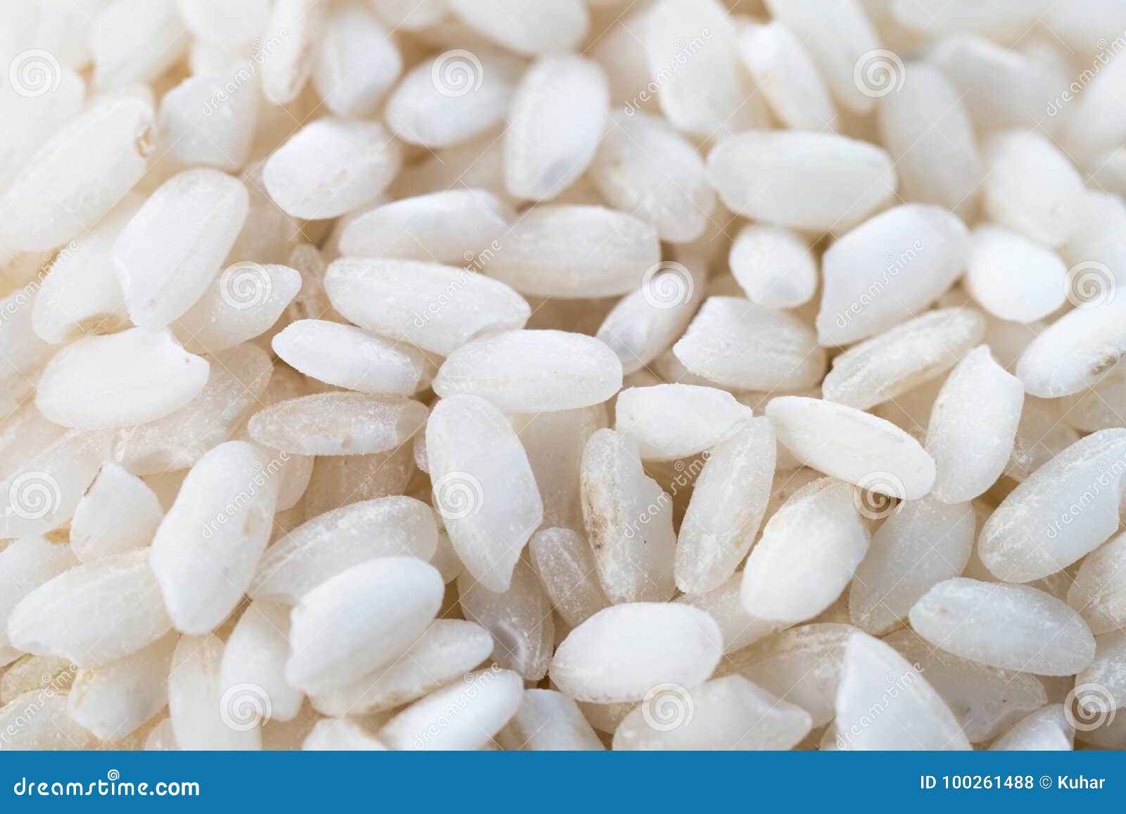 Uncooked arborio rice stock photo. Image of white, nutrition 100261488