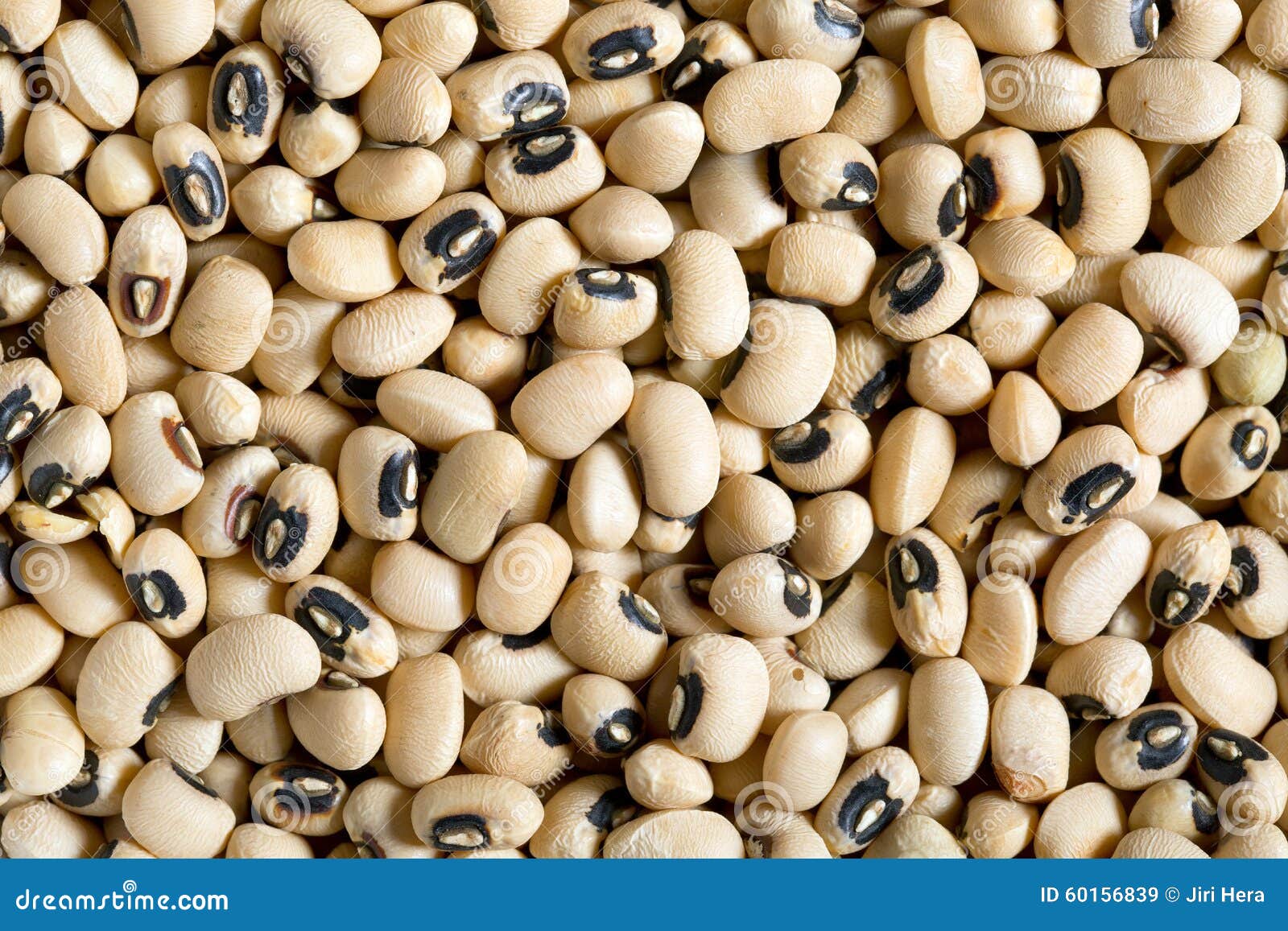Uncooked beans stock image. Image of agriculture, kidney 60156839