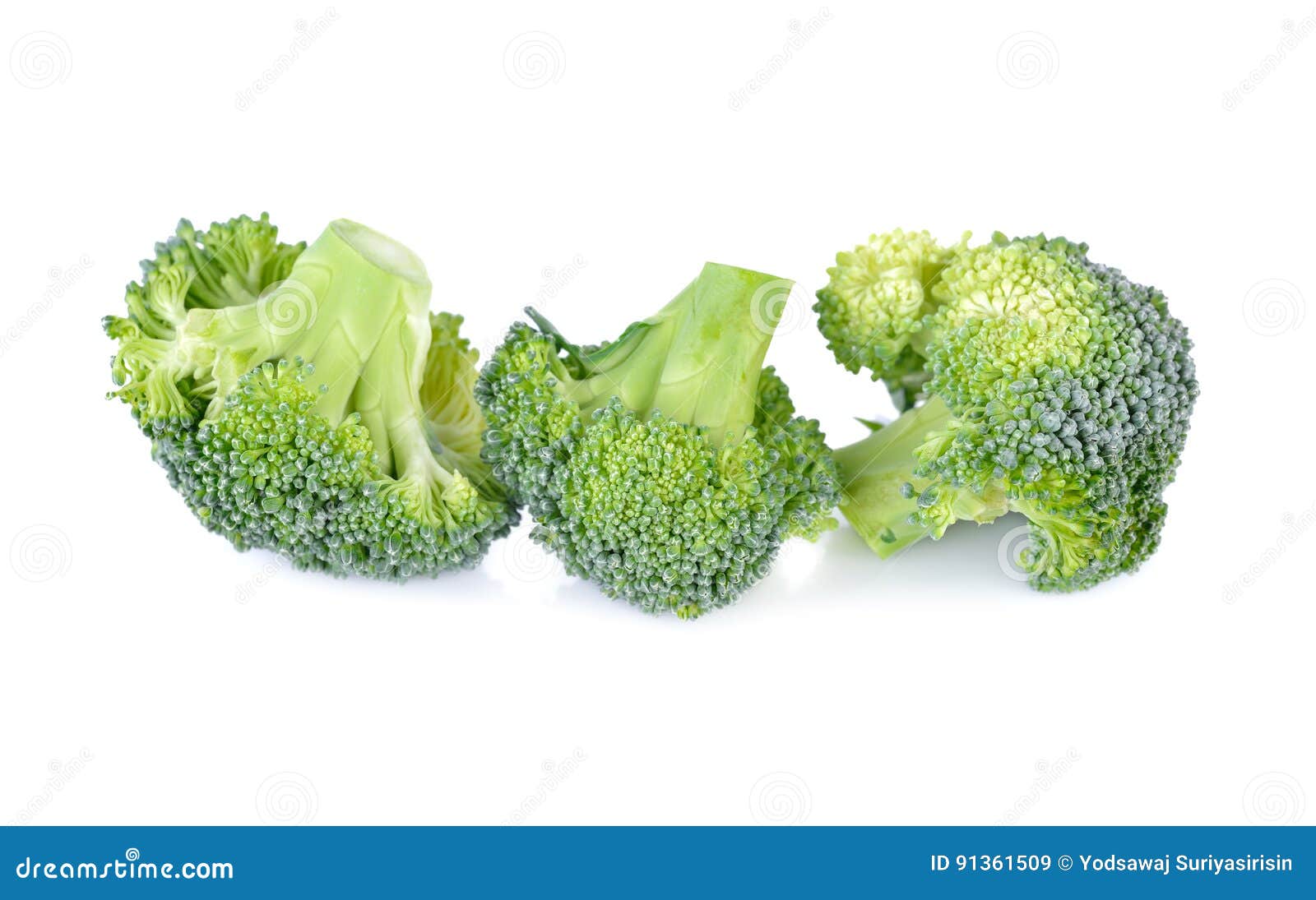 Uncooked Broccoli on White Background Stock Image Image of gourmet