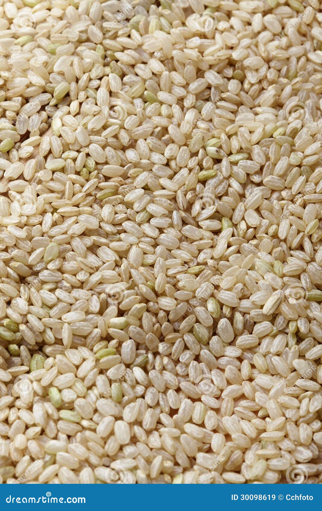 Uncooked brown rice stock image. Image of economy, hulled 30098619