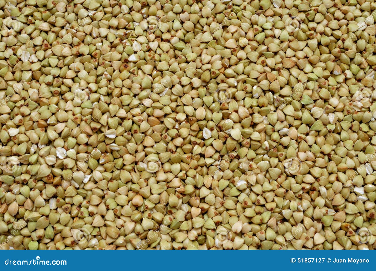 Uncooked buckwheat seeds stock image. Image of silverhull 51857127