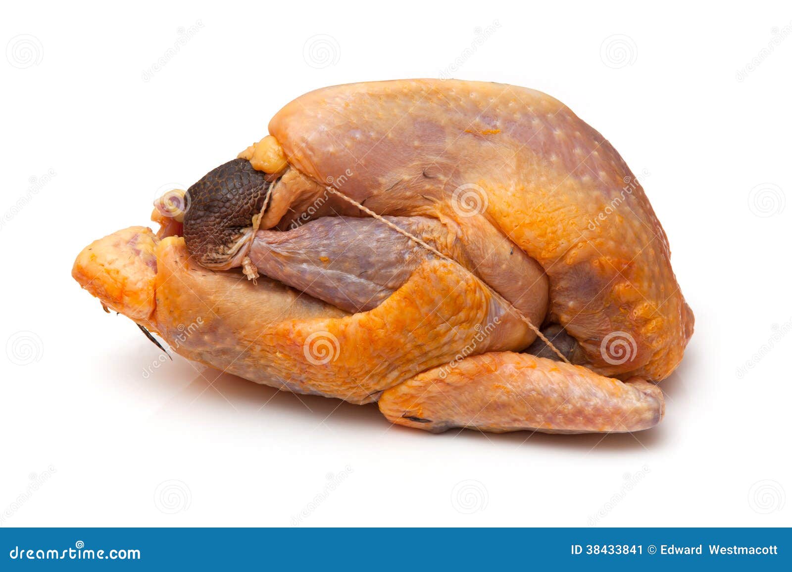 uncooked guinea fowl