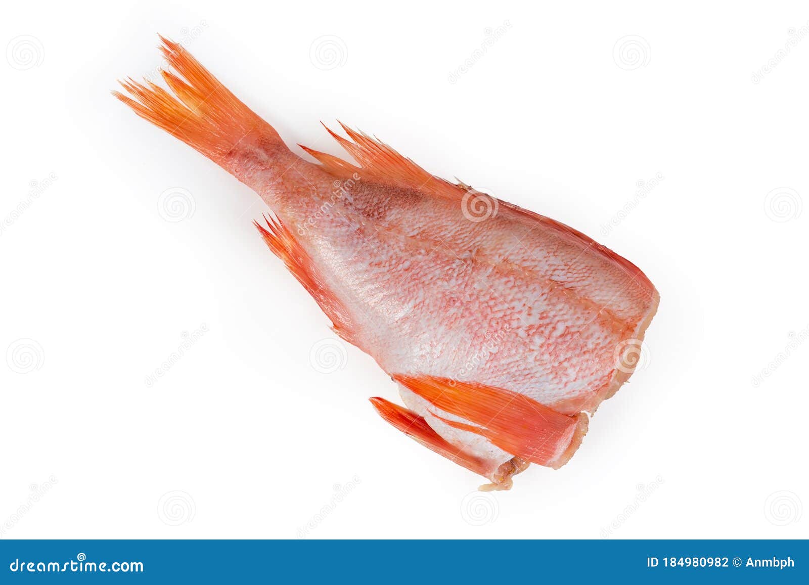 uncooked headless gutted carcass of redfish on a white background