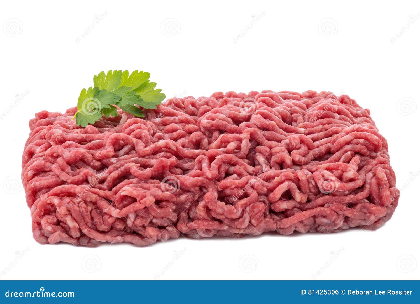 Uncooked meat with garnish stock photo. Image of mince 81425306