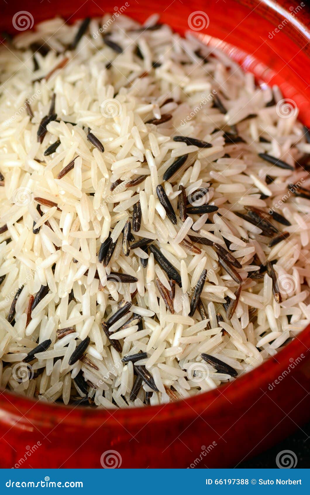Uncooked Mixed Rice stock photo. Image of organic, basmati 66197388