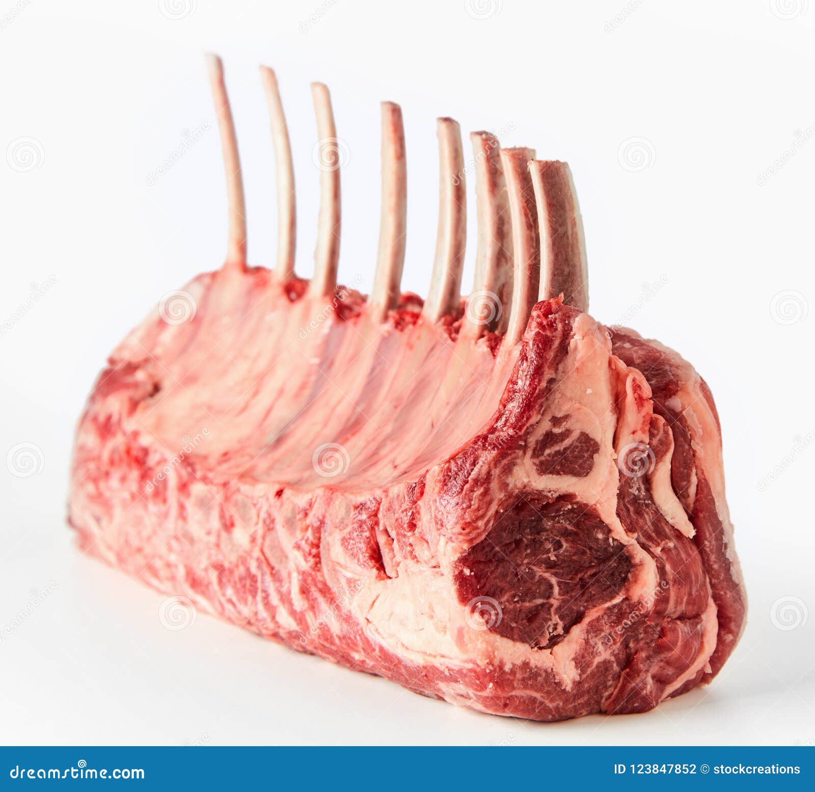 Uncooked Rack of Lambs with Bonein Chops Stock Photo Image of lamb