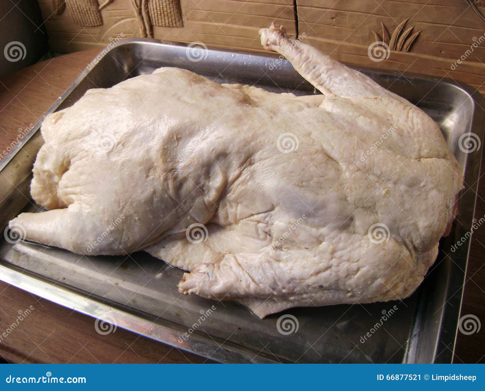 Uncooked whole goose stock image. Image of ingredient 66877521