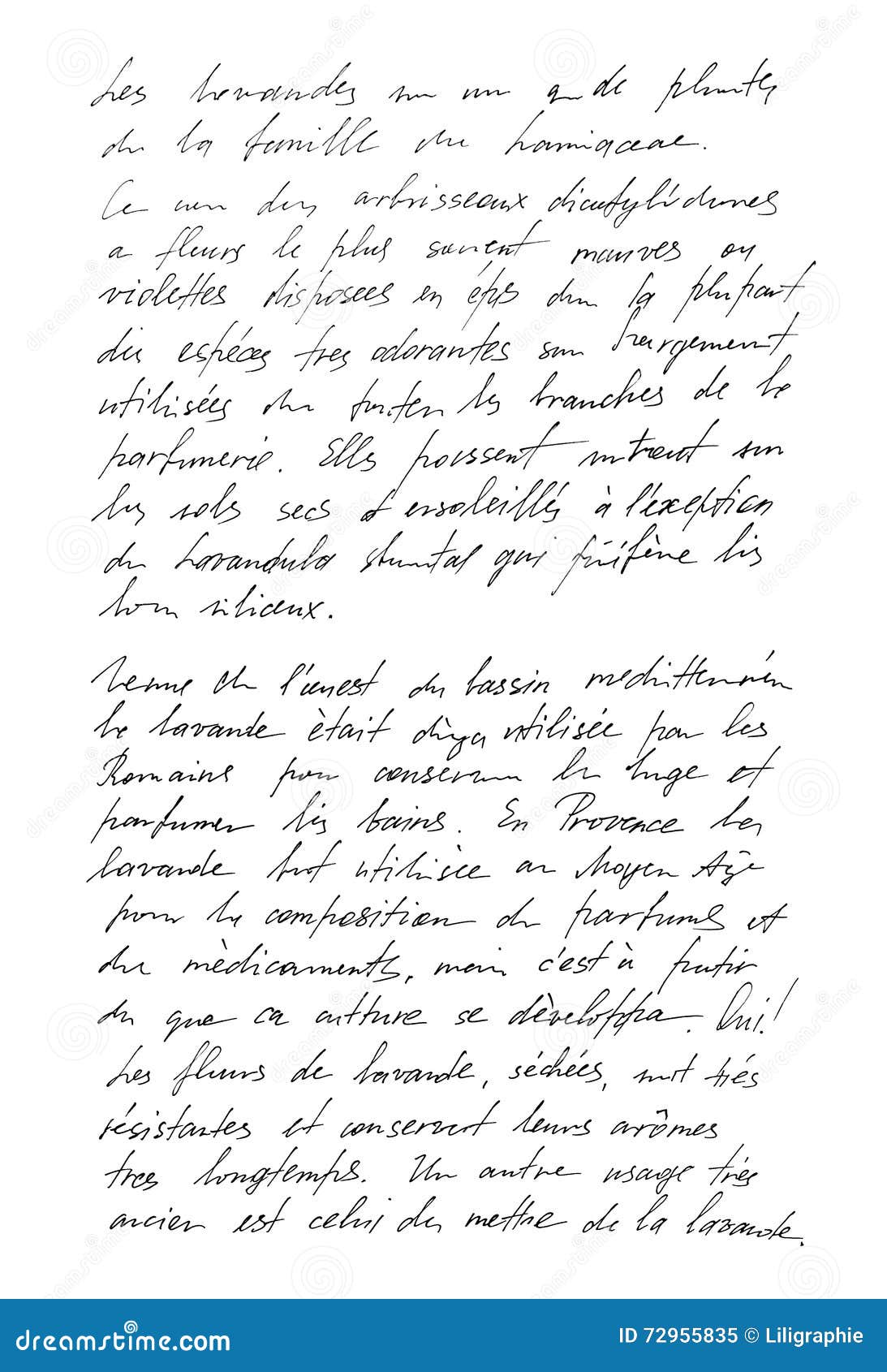 undefined text french. handwritten letter. handwriting