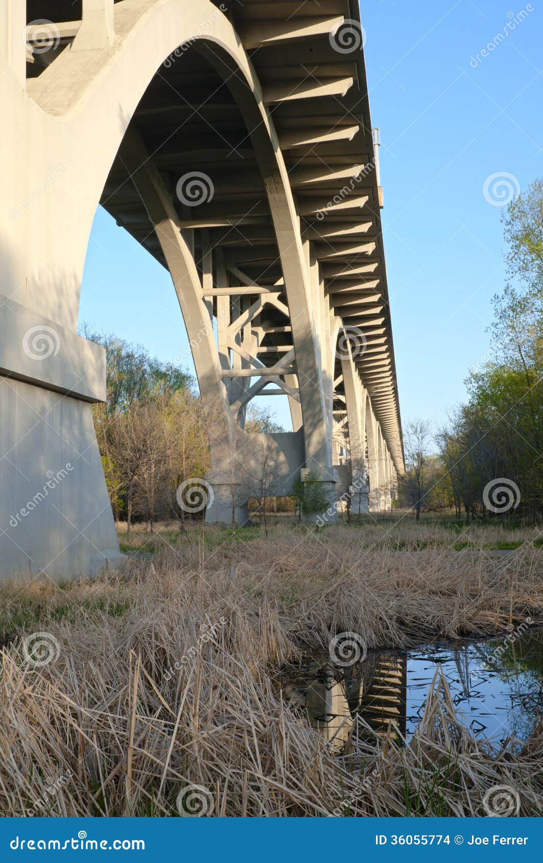 under the mendota bridge