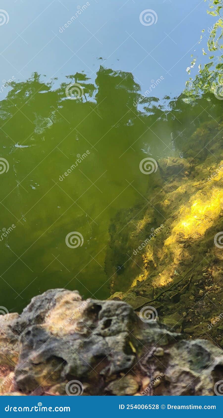 Under the water Sunray stock photo. Image of sunray 254006528