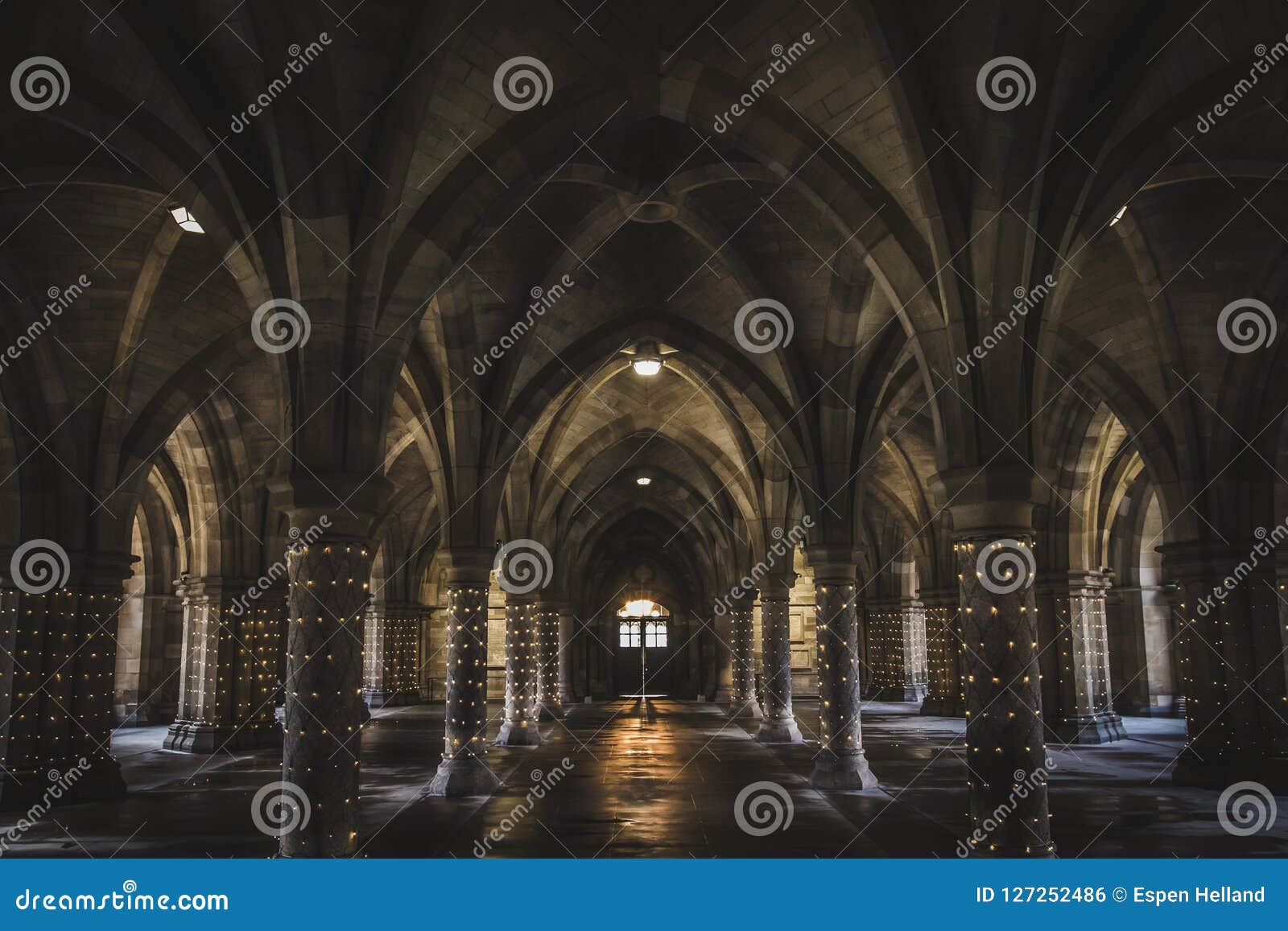 the undercroft at glasgow university lit up