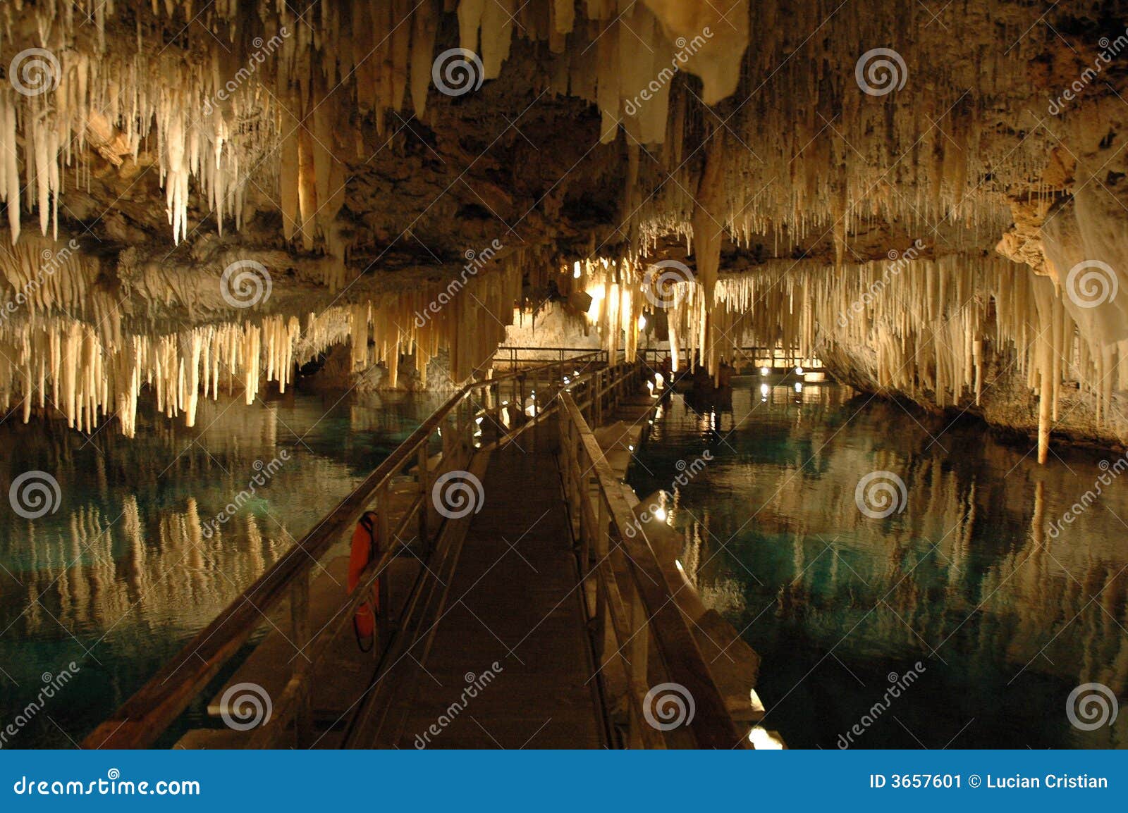 the underground beauty of bermuda