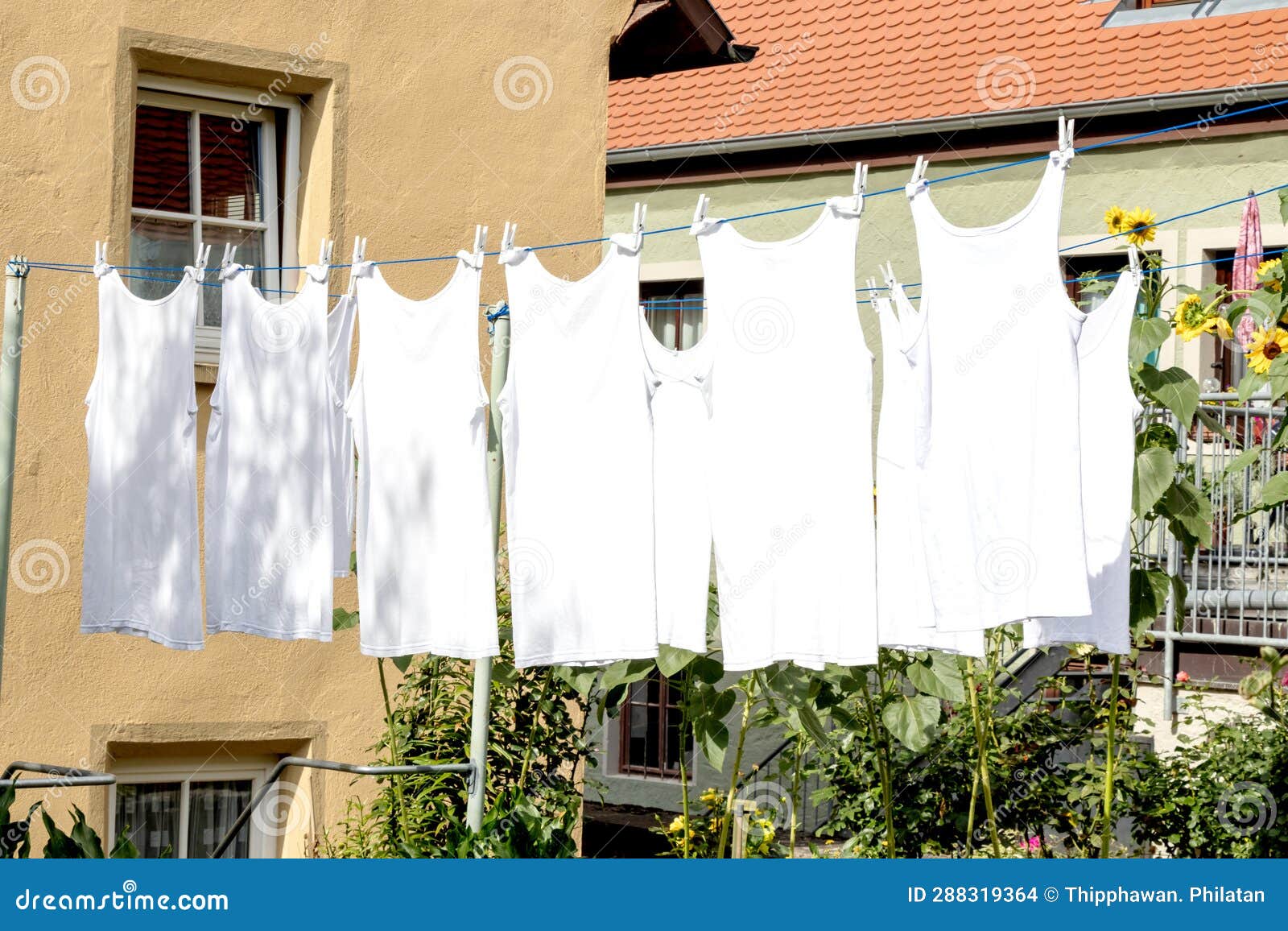 Undershirts Man Hanging Outside a House for Drying. Stock Photo - Image ...