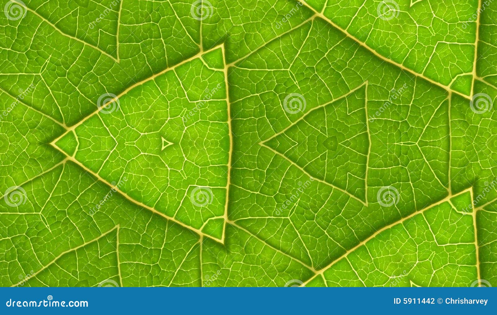 underside of green leaf seamless tile background