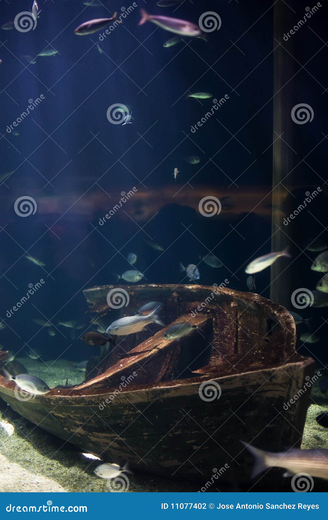 underwater diorama
