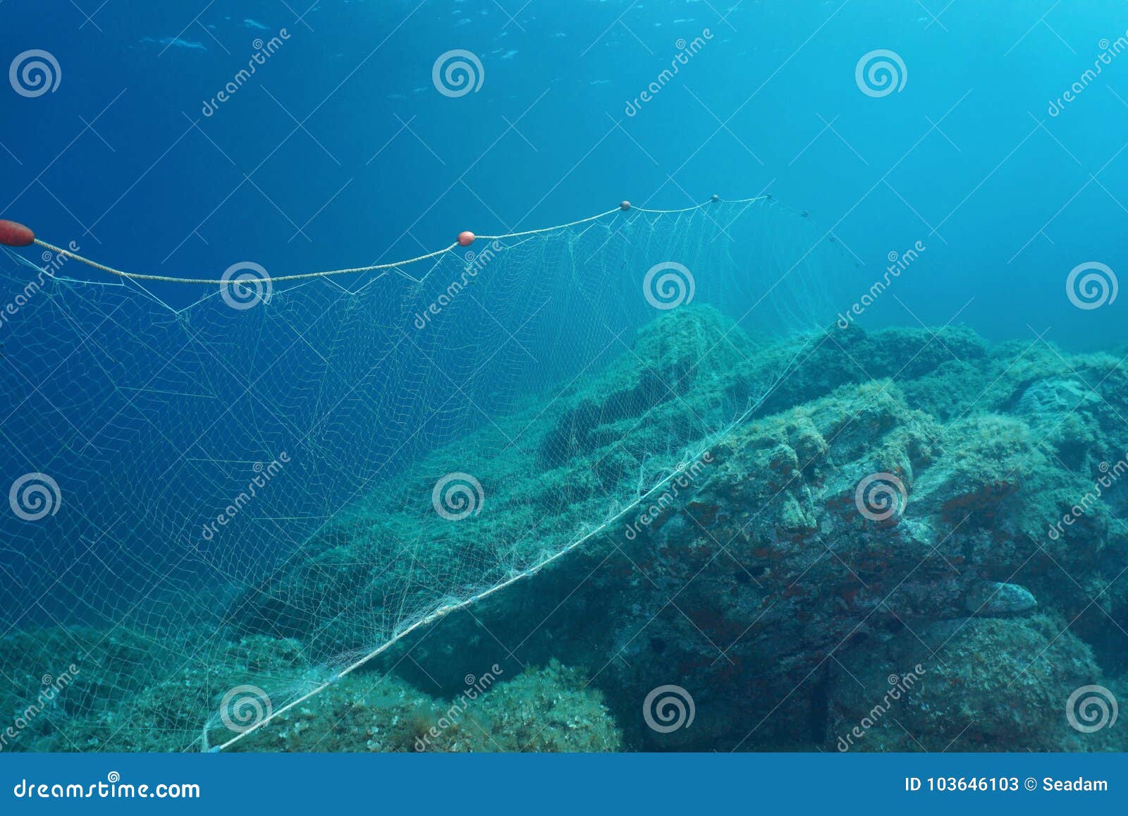 https://thumbs.dreamstime.com/z/underwater-fishing-net-gillnet-fixed-rocks-seabed-mediterranean-sea-costa-brava-spain-underwater-sea-fishing-net-103646103.jpg