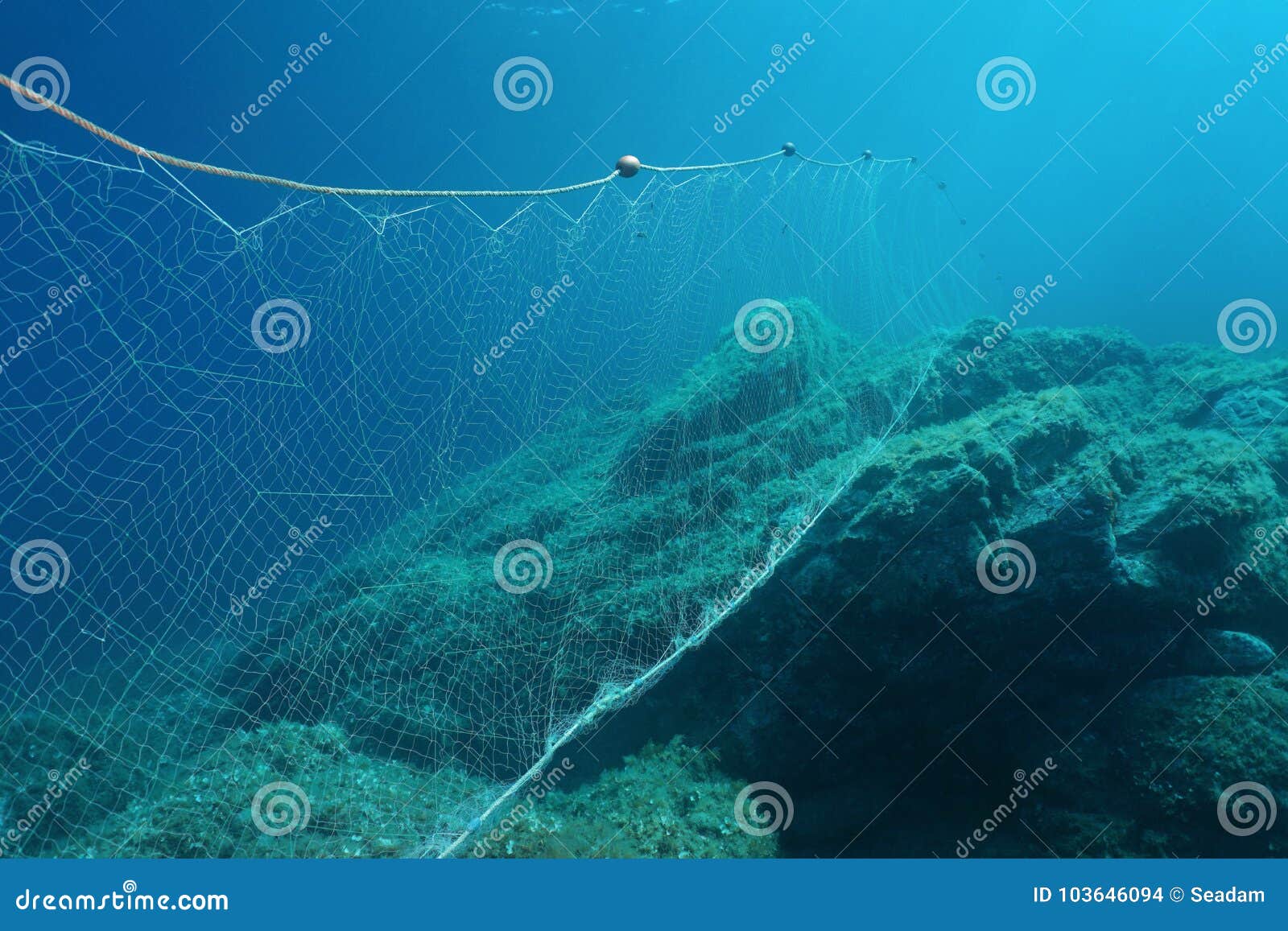 1,316 Underwater Fishing Net Stock Photos - Free & Royalty-Free