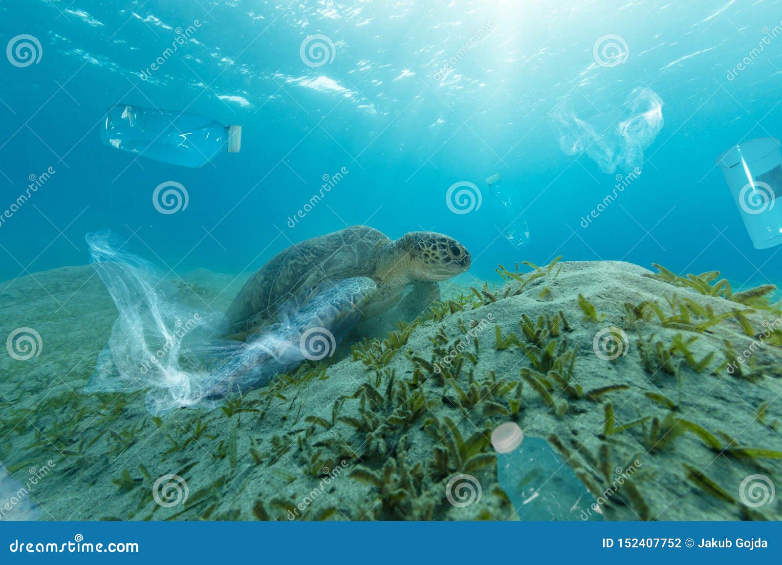 Underwater Global Problem with Plastic Rubbish Stock Photo - Image of ...