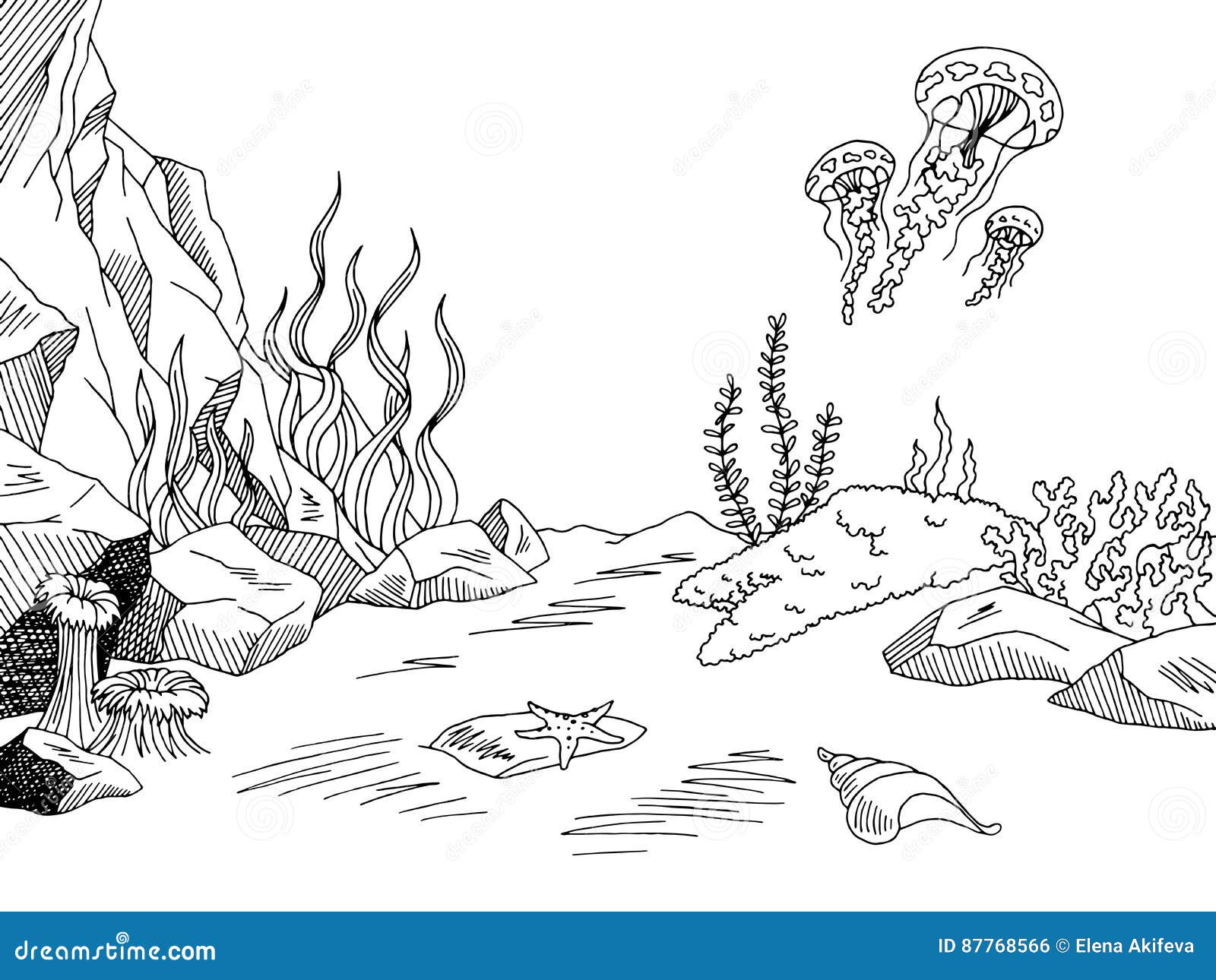 Với bộ sưu tập tranh minh họa về đại dương dưới nước, bạn hoàn toàn có thể trải nghiệm cảm giác như đang lang thang dưới đáy đại dương thực sự. Những hình ảnh về động vật biển, rong biển, san hô,...được phác thảo một cách tinh tế sẽ giúp bạn khám phá thế giới dưới nước mới lạ và thú vị hơn.