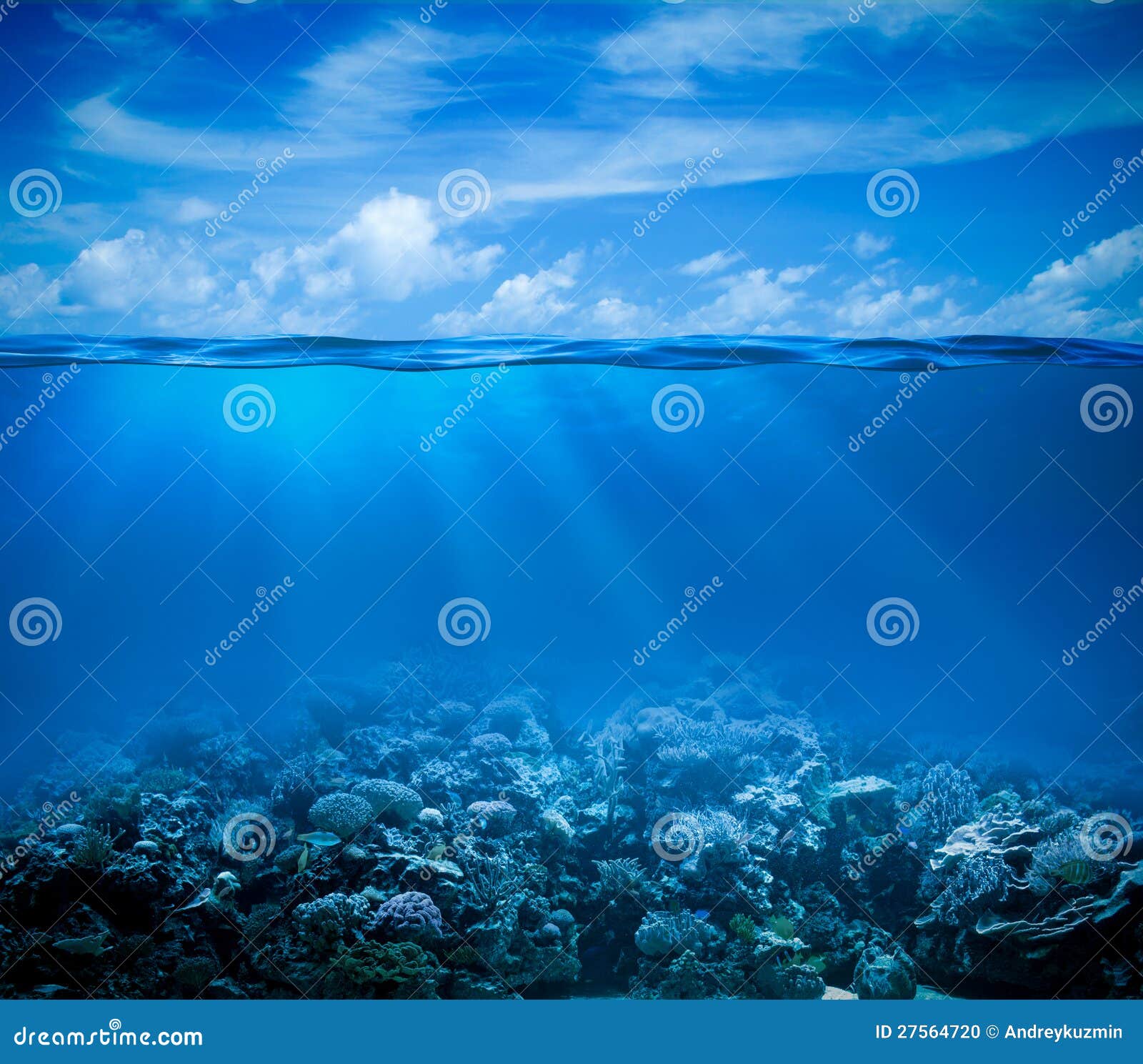 underwater with horizon and water surface
