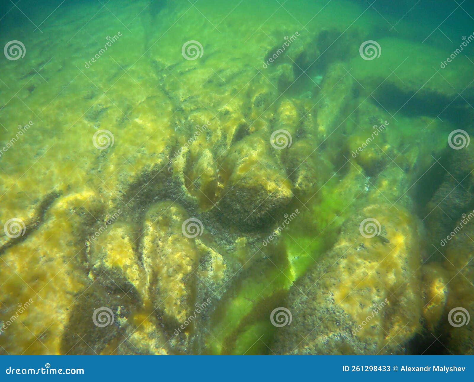 Underwater Landscape in the Sea. Caspian Sea Stock Image - Image of ...