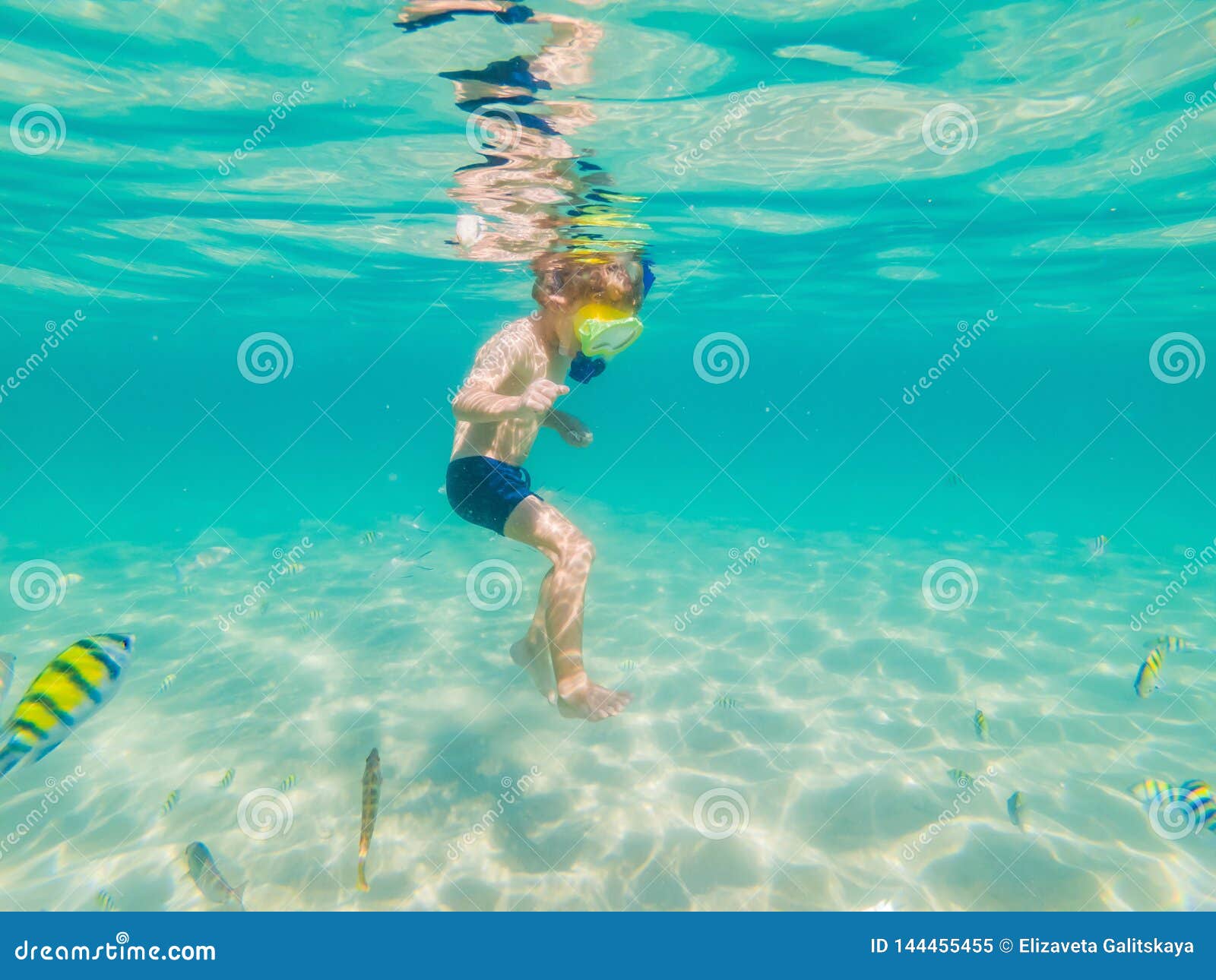 Underwater Nature Study, Boy Snorkeling in Clear Blue Sea Stock Image
