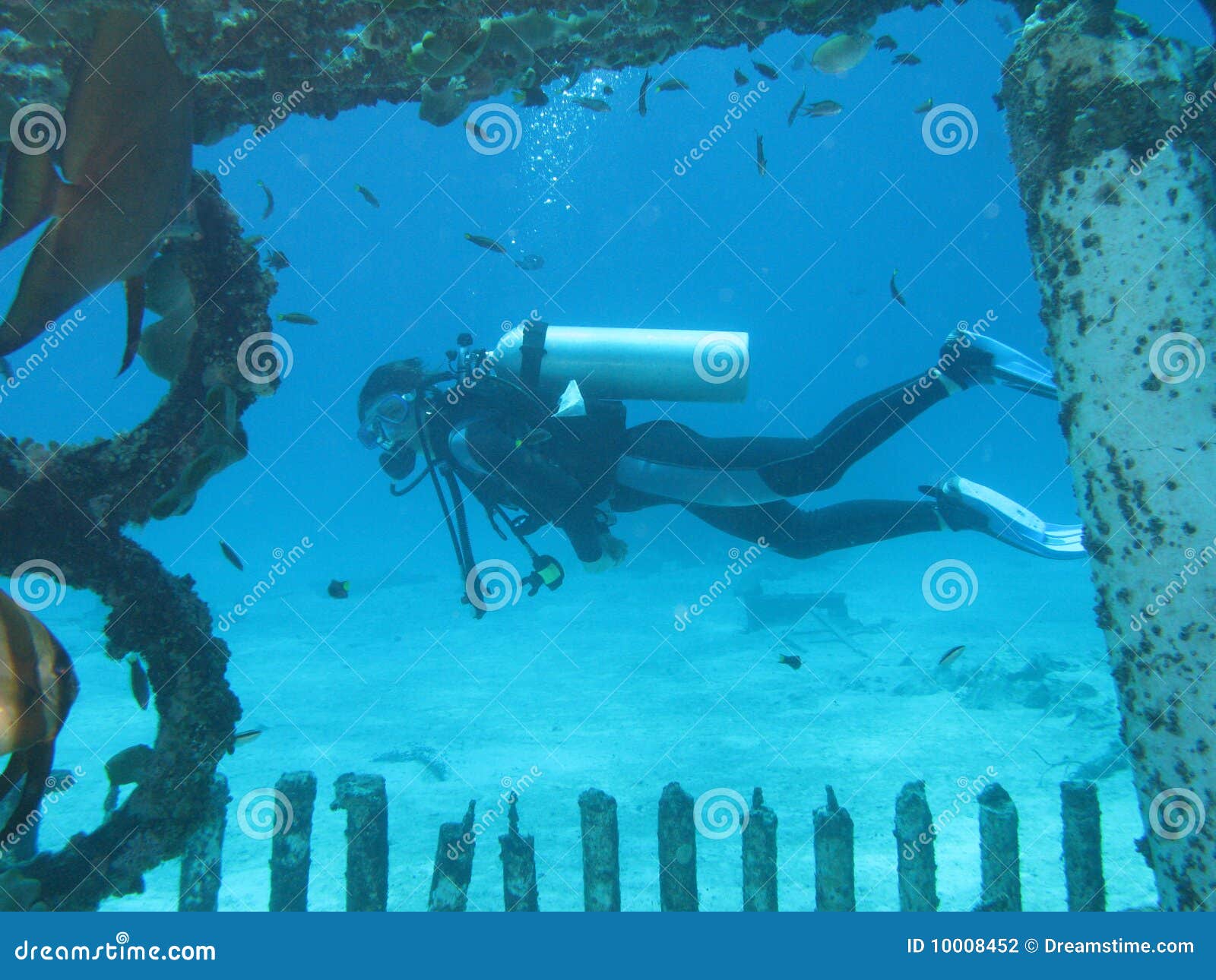 Underwater photographing stock photo. Image of seascape 10008452