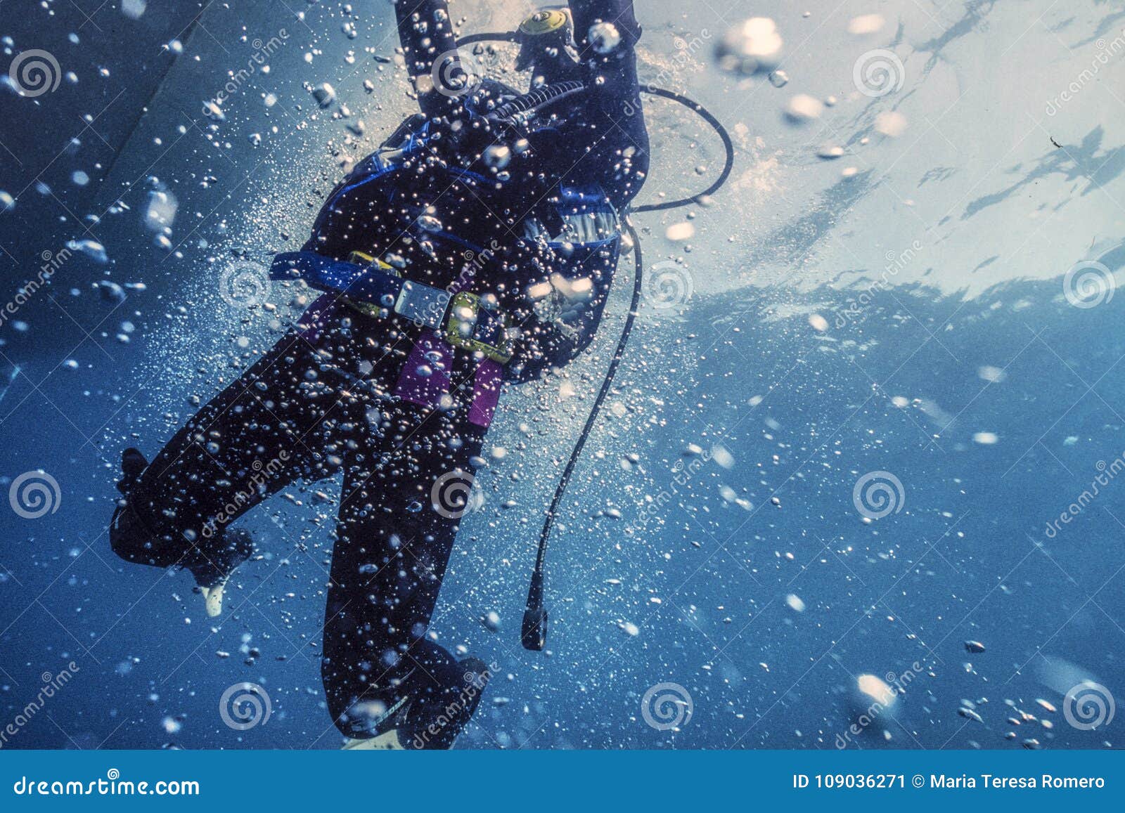 Practice of Diving in the Sea Stock Image Image of swim, scuba 109036271