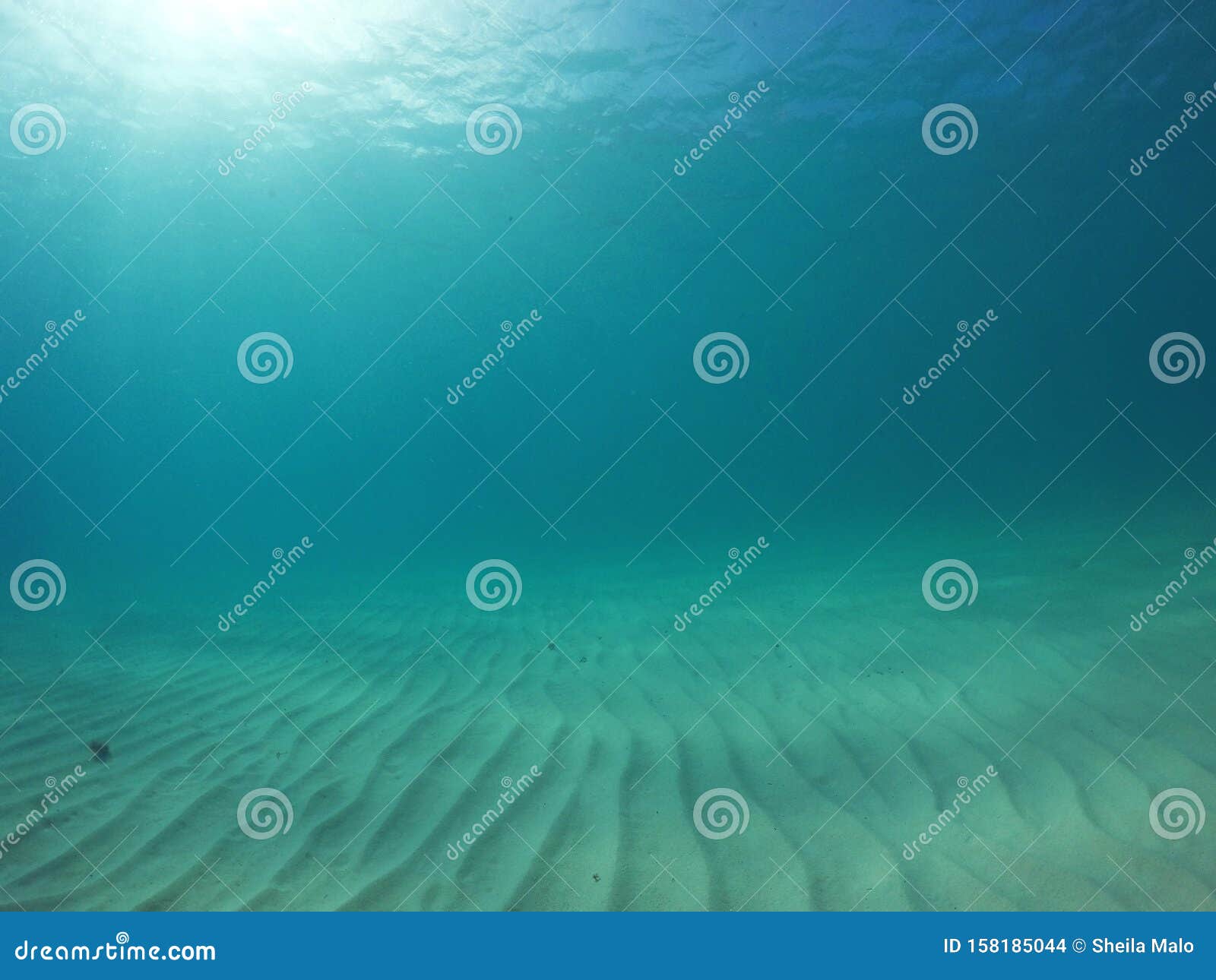 Underwater Sand Floor In The Ocean Stock Photo Image Of Brava