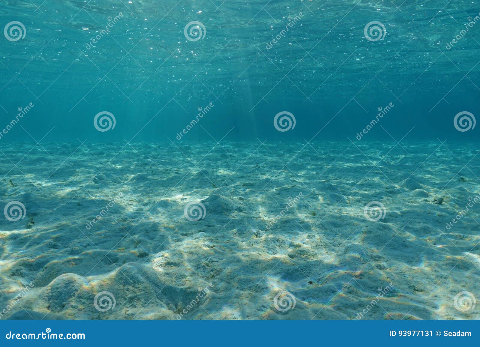 Underwater Sandy Ocean Floor Lagoon Pacific Ocean Stock Image