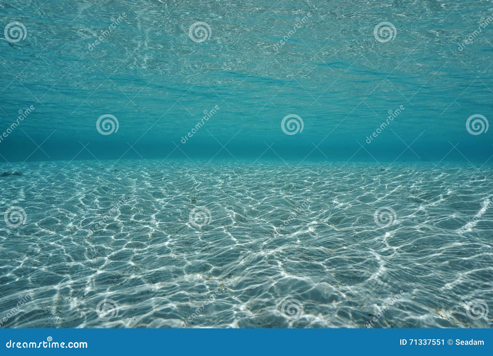 Underwater Sandy Ocean Floor With Water Surface Stock Image