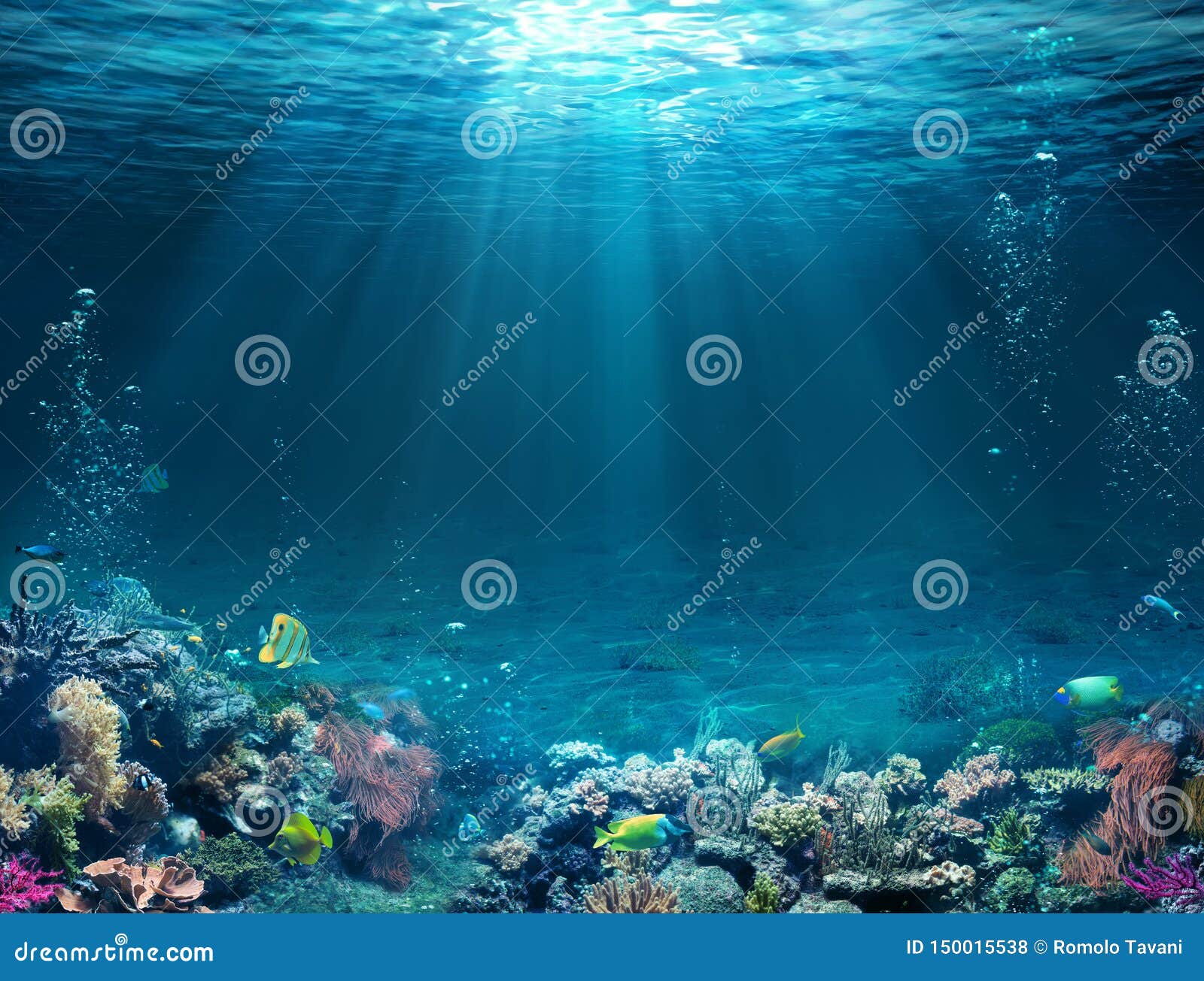 underwater scene - tropical seabed with reef