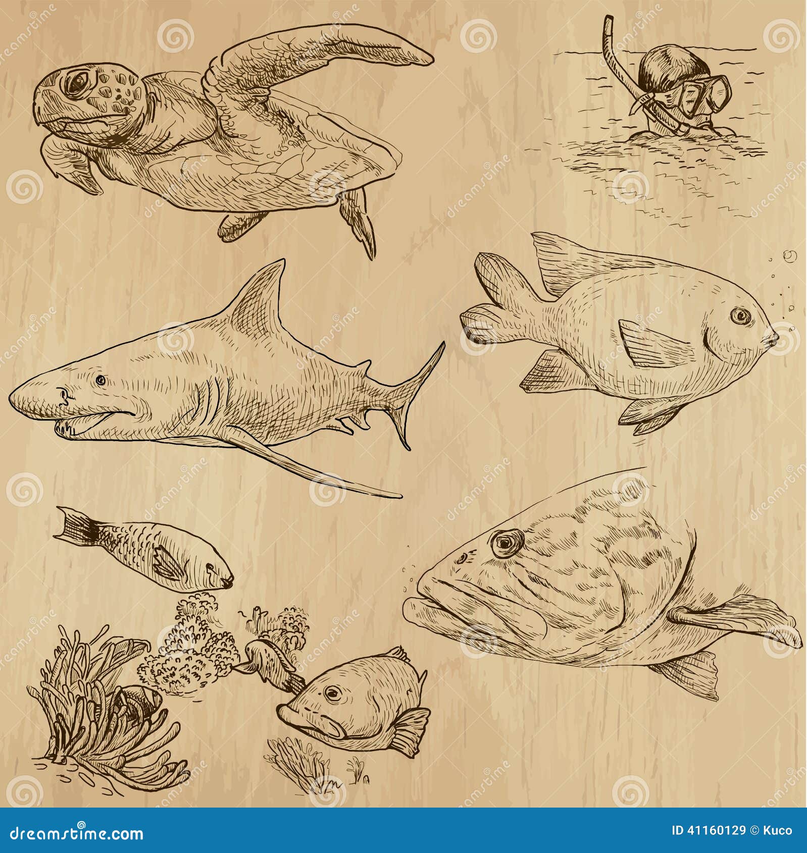 Line Art Underwater : Underwater sea life vector set no hand drawn stock