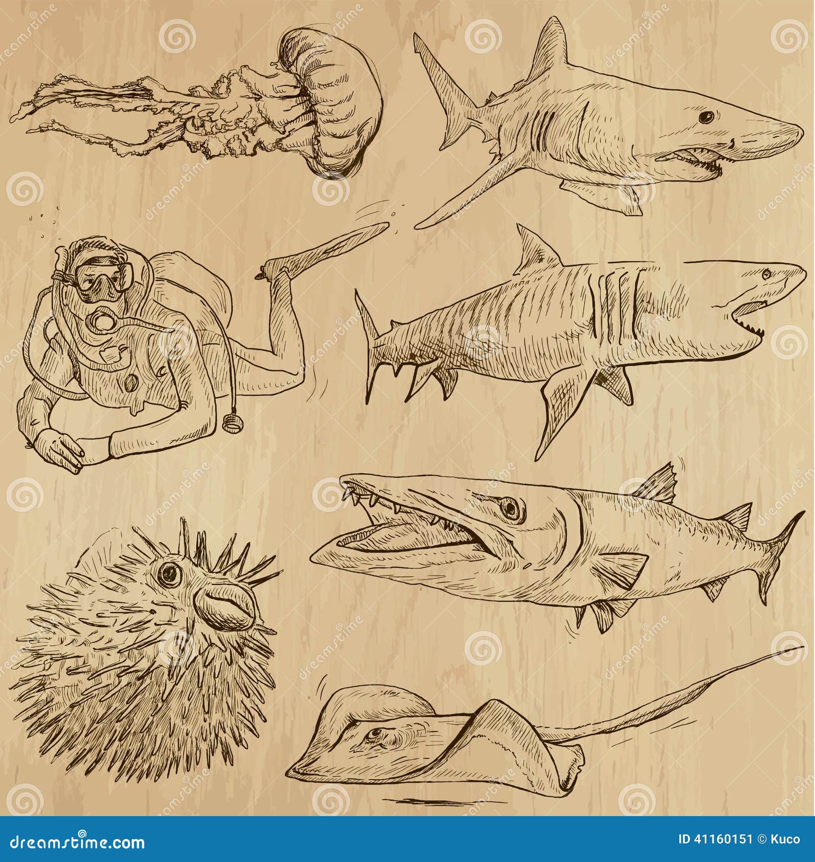 Underwater, Sea Life (vector Set No.2) - Hand Drawn Stock Vector