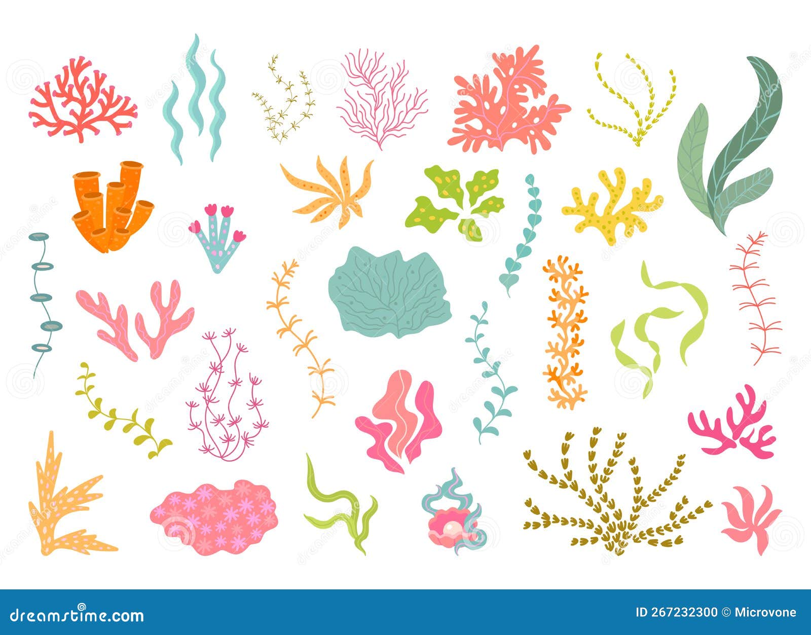 Underwater Seaweed Collection, Corals and Algae. Ocean Plants, Natural  Aquarium Decor Elements Stock Illustration - Illustration of background,  ocean: 267232300