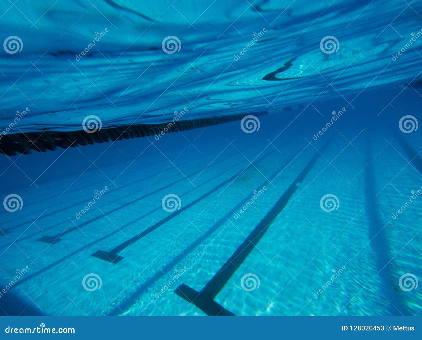 Underwater Shotof Swimming Pool Stock Image Image Of Recreation Blue 128020453