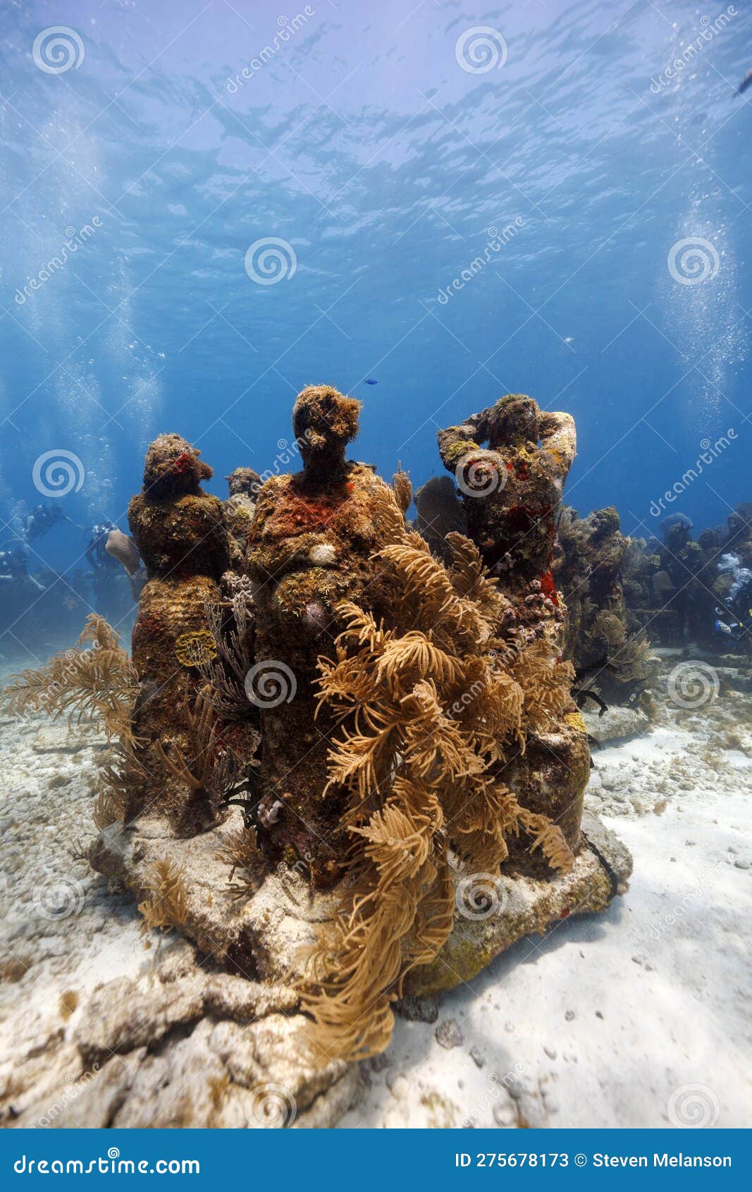 Underwater Statue in Cancun Editorial Stock Photo Image of colony