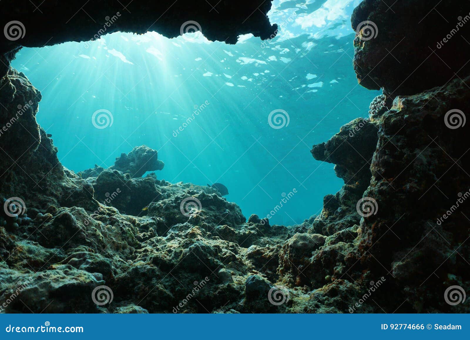 Underwater Sunlight From A Hole In The Ocean Floor Stock Photo