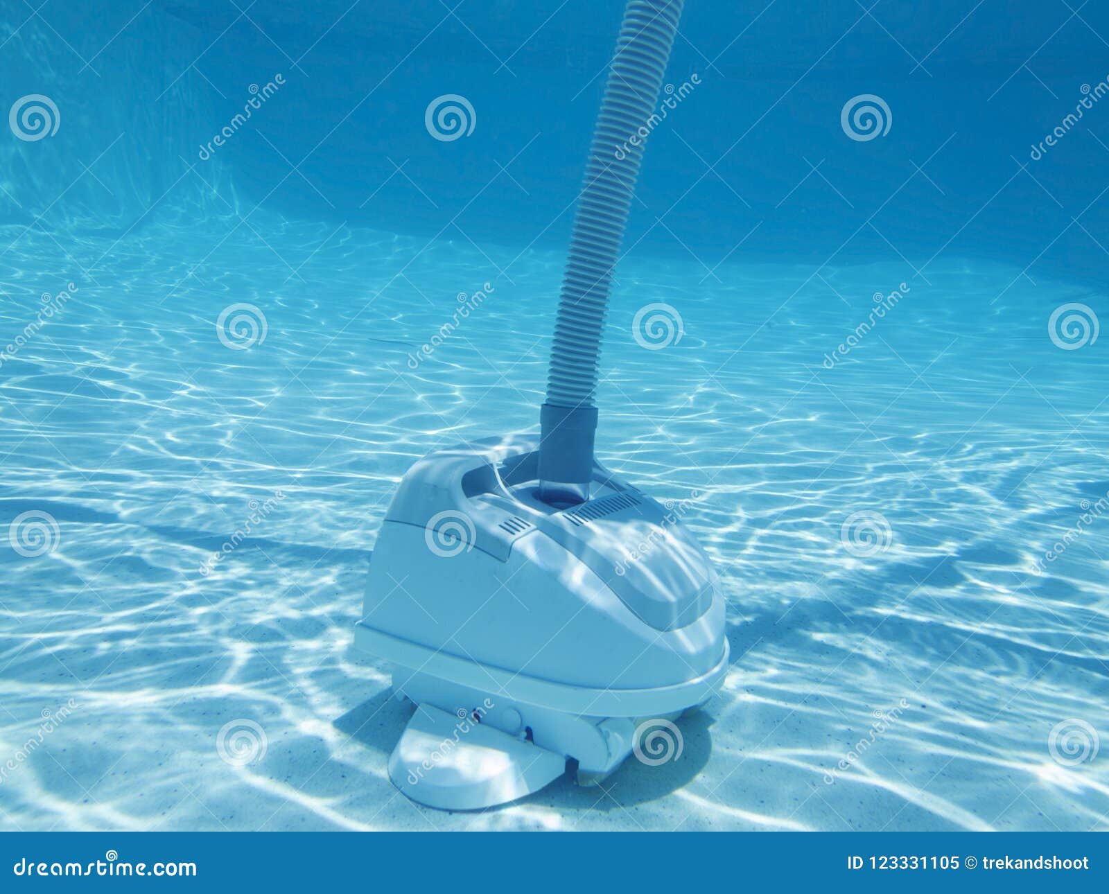 Underwater Swimming Pool Vacuum Stock Image Image of blue, cleaning