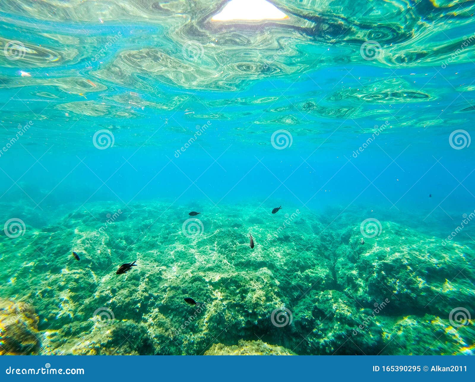 Underwater View of Alghero Rocky Sea Floor Stock Image - Image of light ...