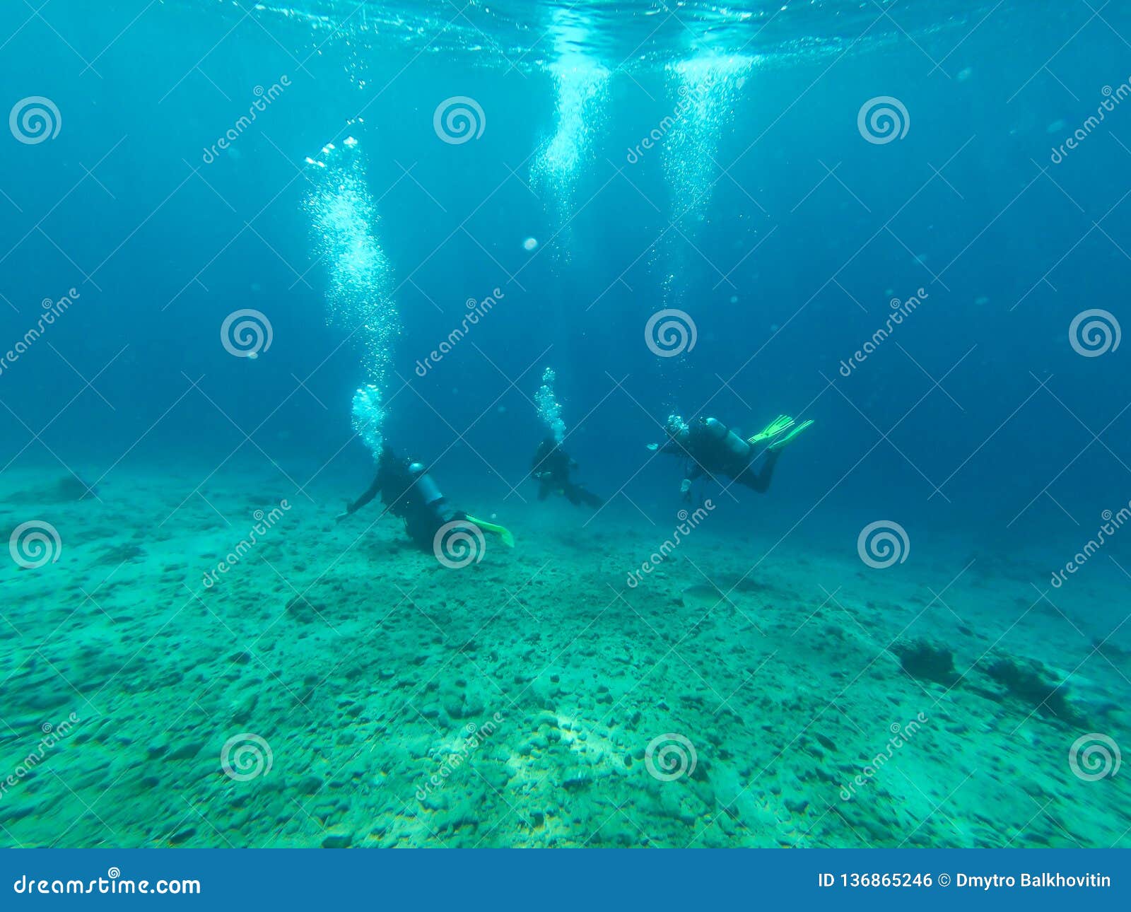 Underwater view with diver stock photo. Image of vacation 136865246