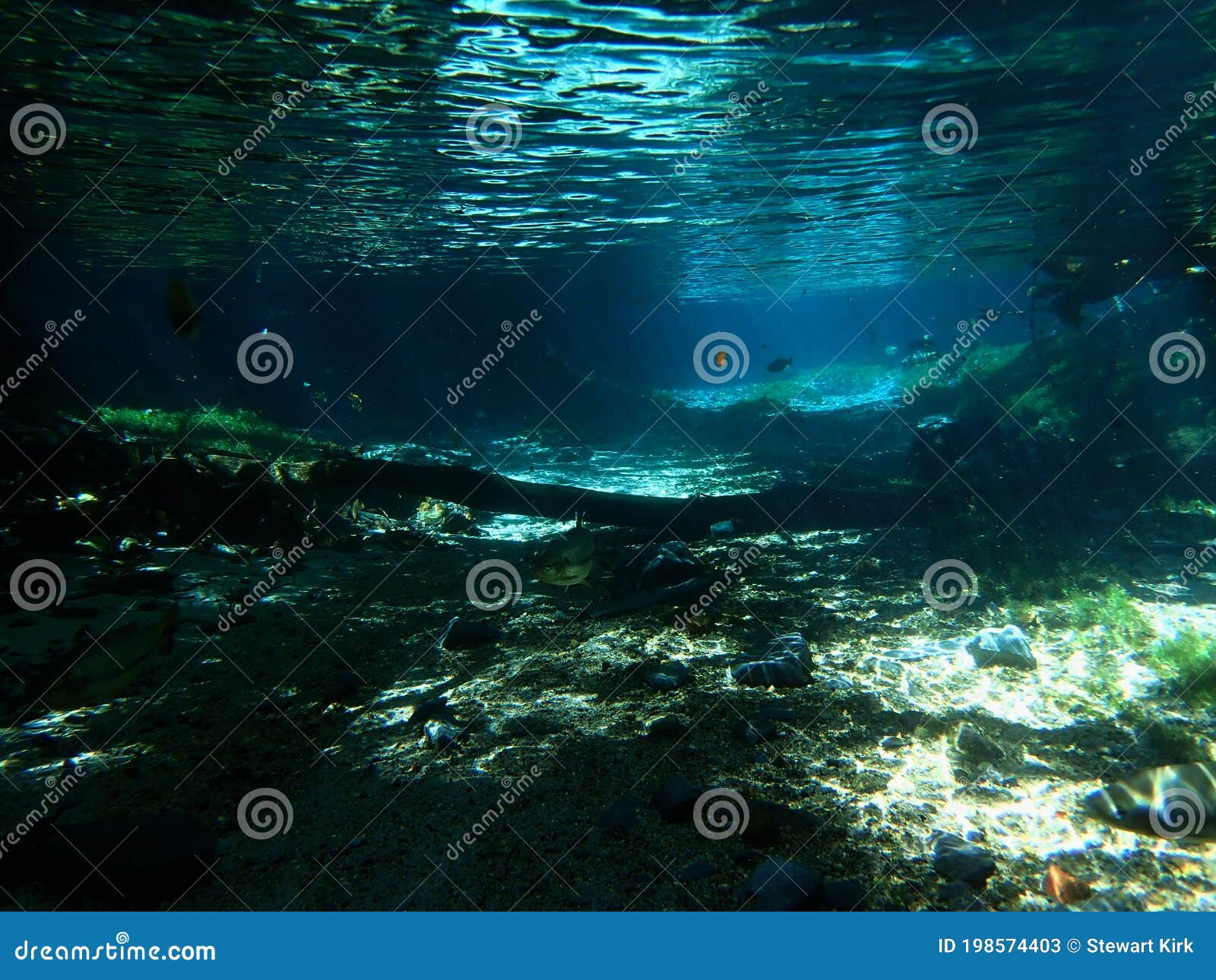 underwater view of rio triste