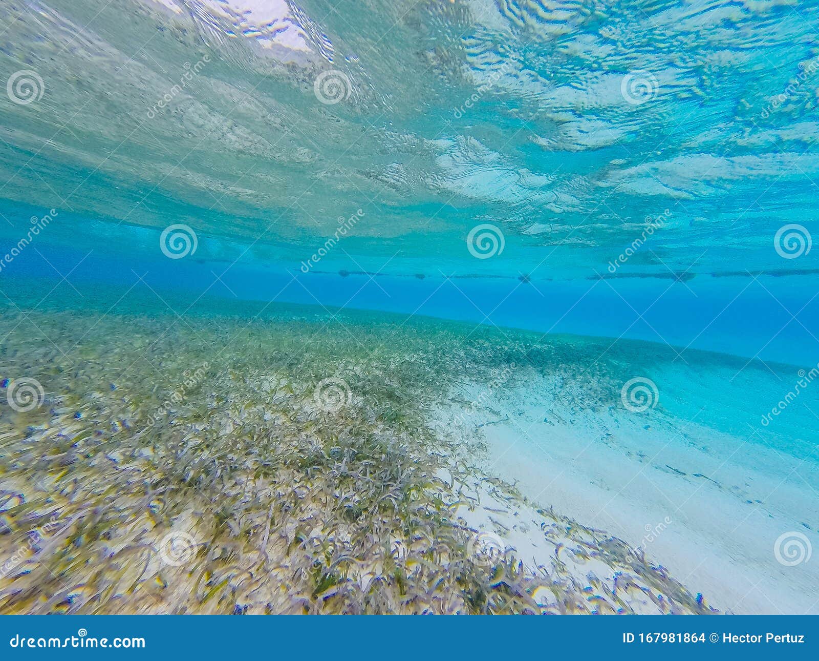 Underwater Views of the Sea Surface Stock Photo - Image of adventure ...