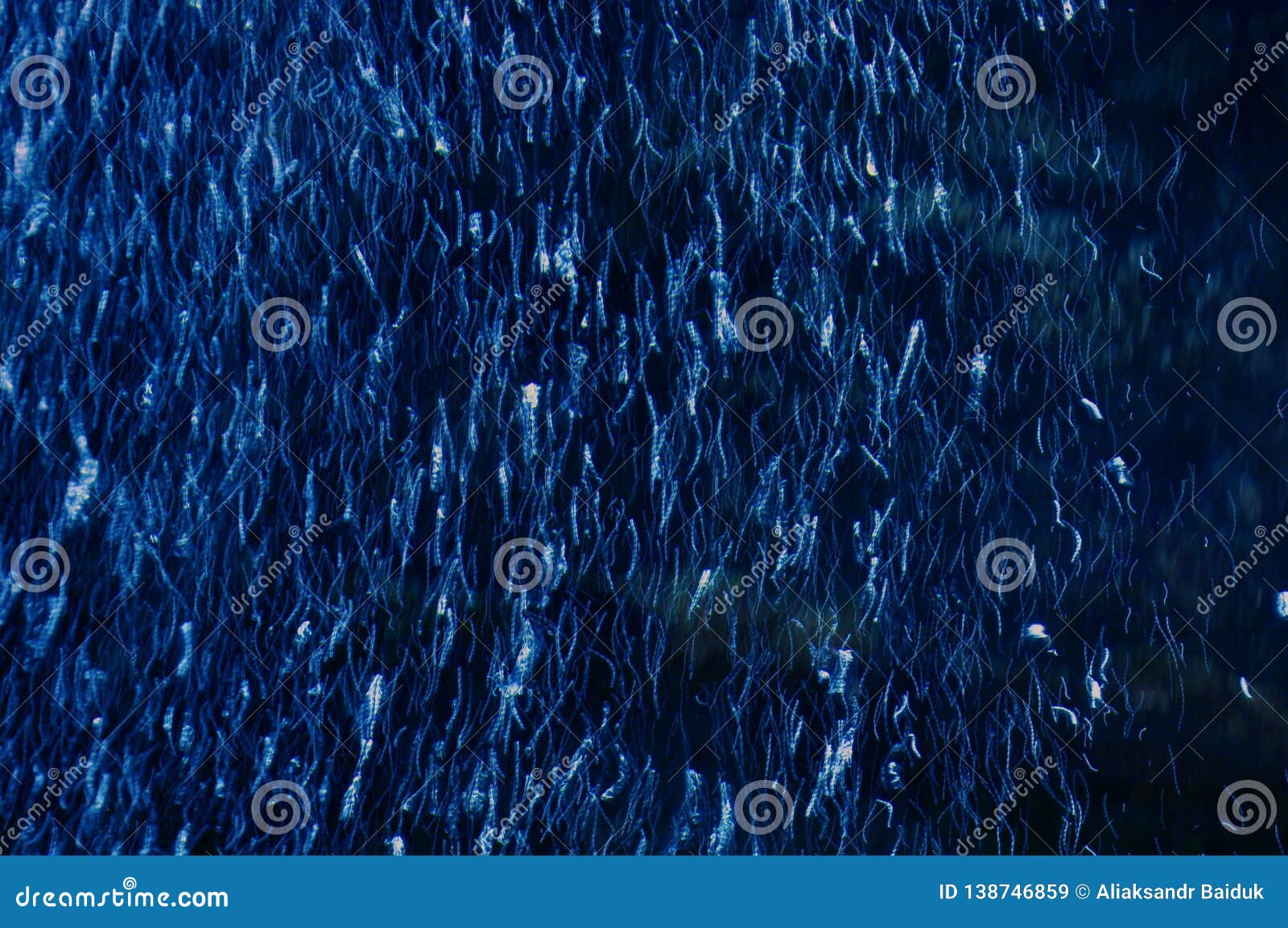 Underwater World. Air Bubbles in the Aquarium Stock Image Image of deep, bubble 138746859