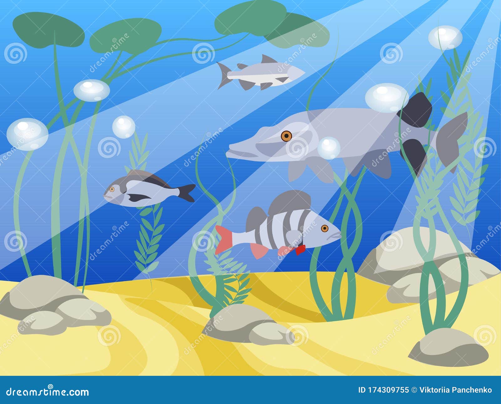 Underwater World, a Reservoir. Animals and Nature of the Lake Stock Illustration - Illustration of style, algae: 174309755 Underwater World, a Reservoir. Animals and Nature of the Lake Stock Illustration - Illustration of style, algae: 174309755