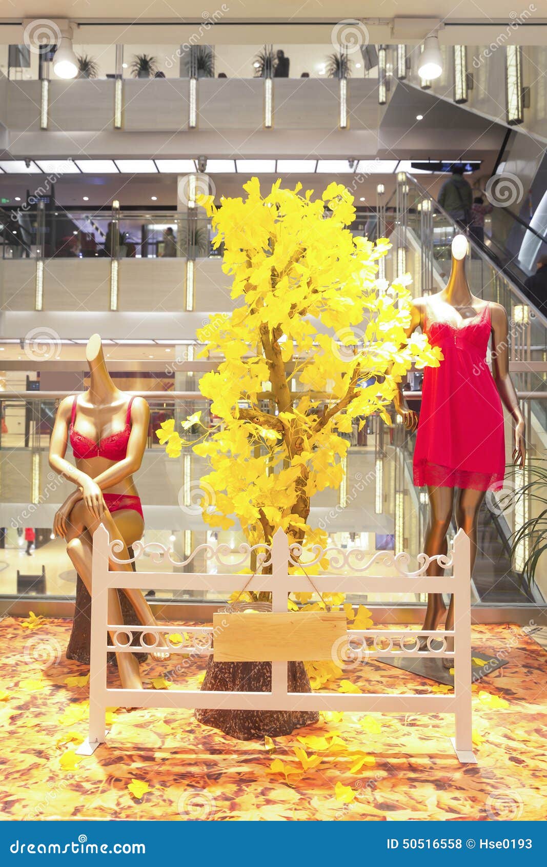 Underwear mannequin stock photo. Image of mall, display 50516558